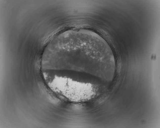 X0000110760405200907061100