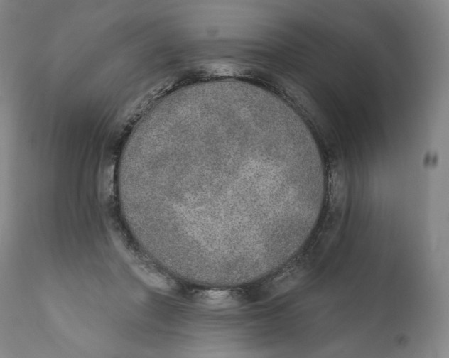 X0000110760406200907061100