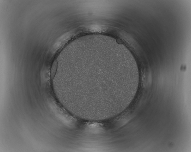 X0000110760407200907061100