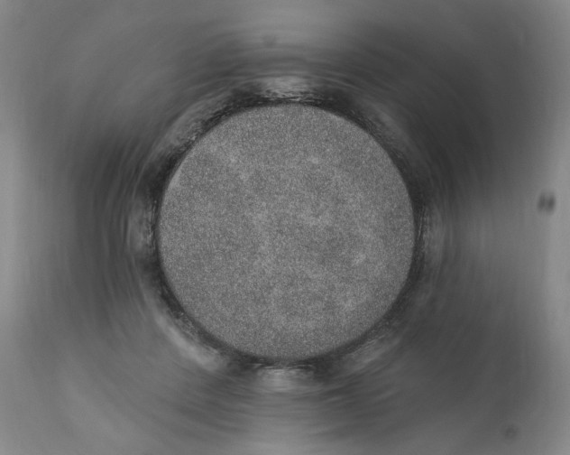 X0000110760408200907061100