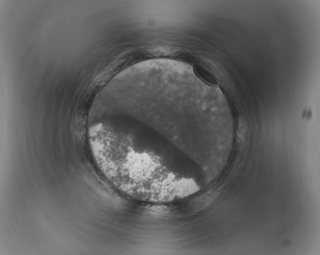 X0000110760409200907061100