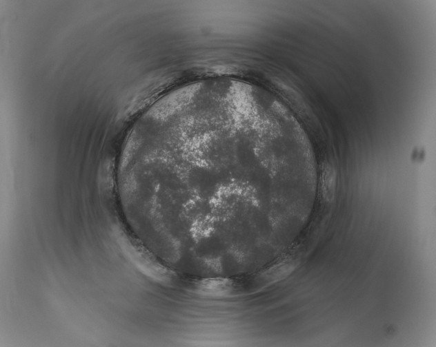 X0000110760410200907061100