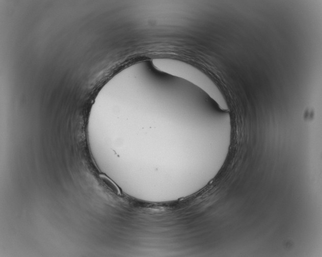 X0000110760411200907061100
