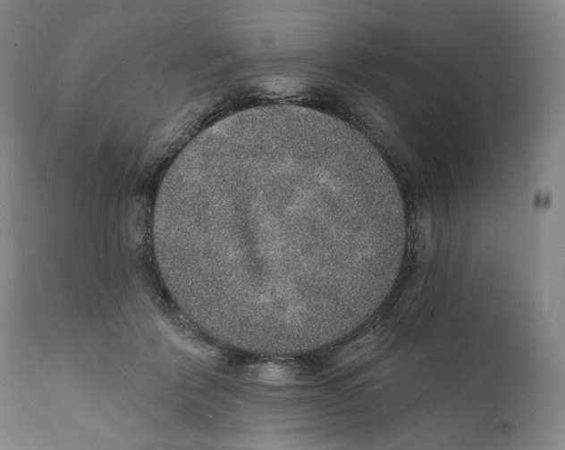 X0000110760412200907061100