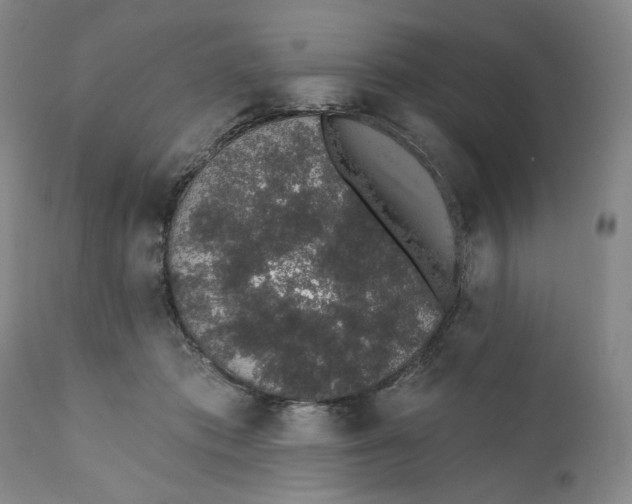X0000110760413200907061100