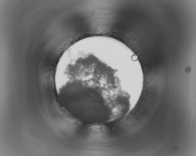 X0000110760415200907061100