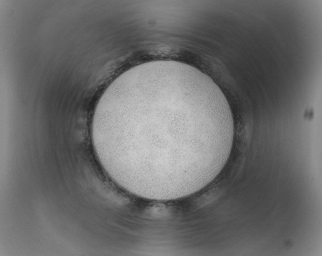 X0000110760416200907061100