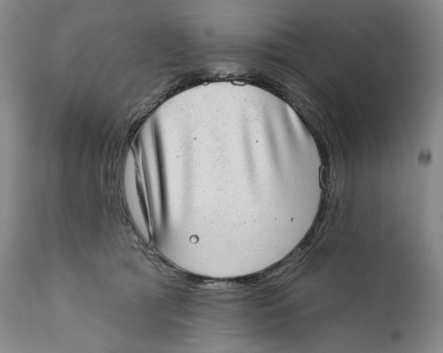 X0000110760417200907061100