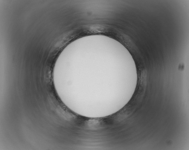 X0000110760418200907061100