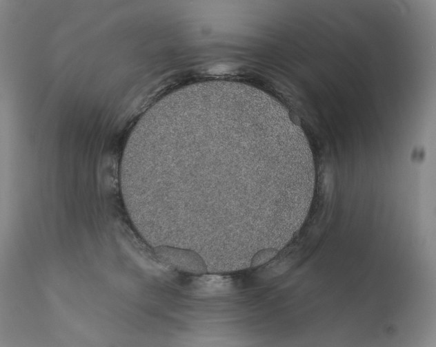 X0000110760421200907061100