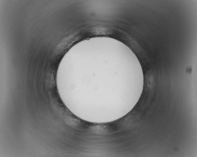 X0000110760422200907061100