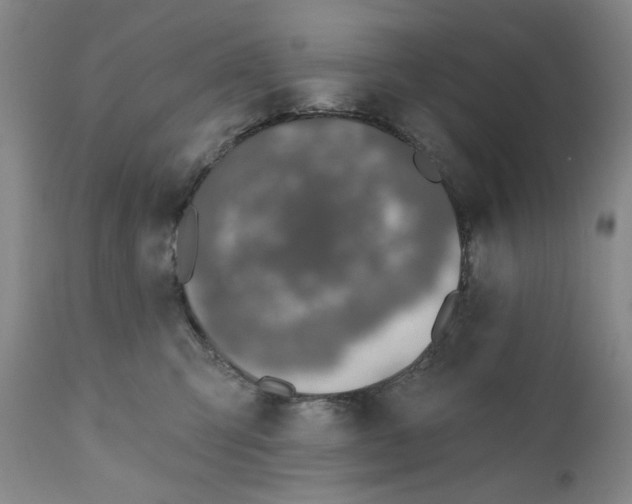 X0000110760423200907061100