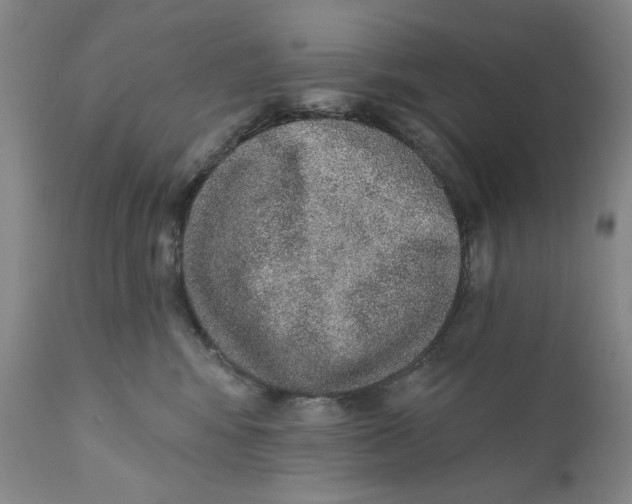 X0000110760424200907061100