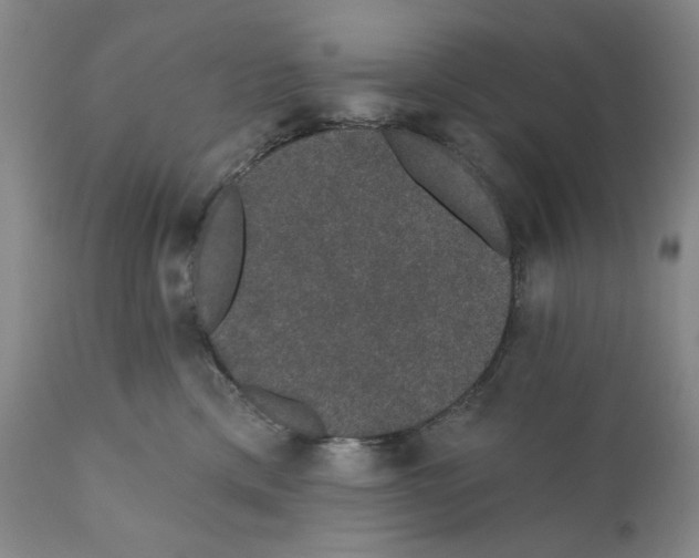X0000110760425200907061100