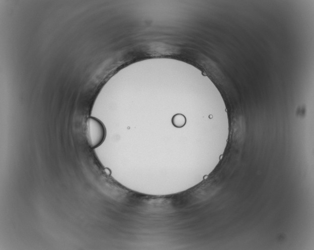 X0000110760426200907061100