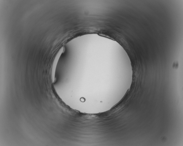 X0000110760427200907061100