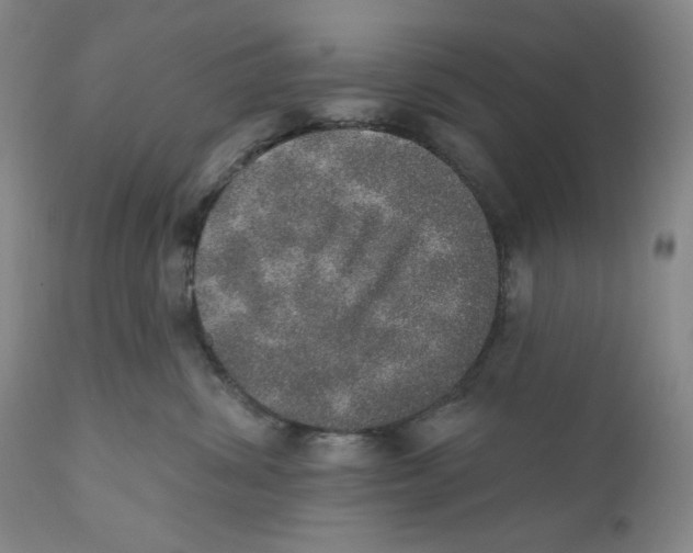 X0000110760428200907061100