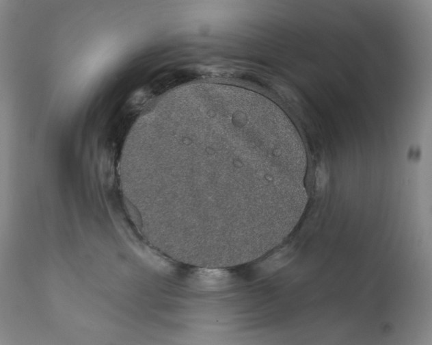X0000110760429200907061100