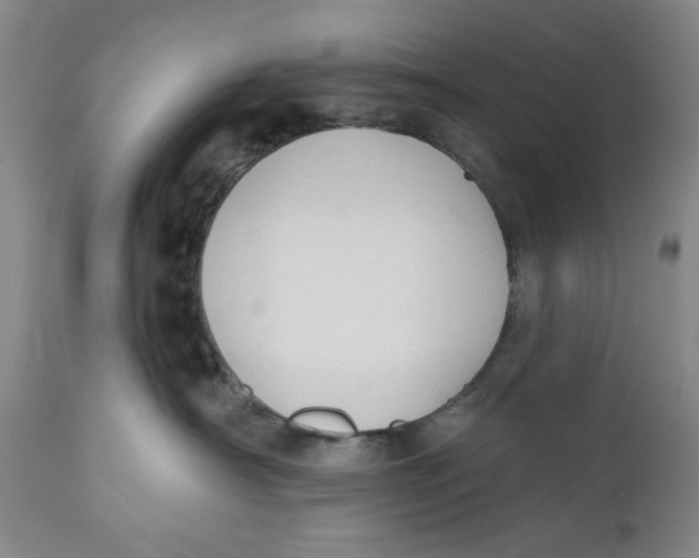 X0000110760430200907061059
