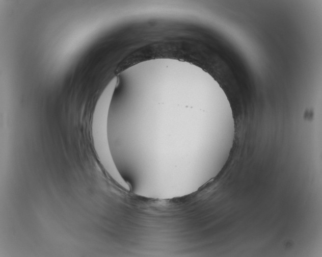 X0000110760431200907061059