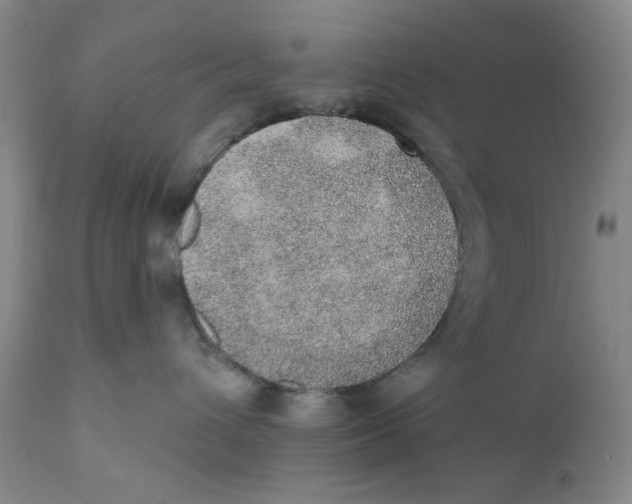X0000110760432200907061059