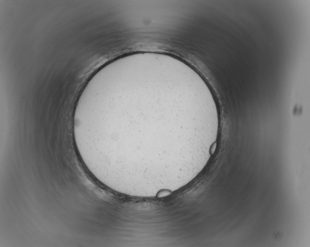X0000110760433200907061059