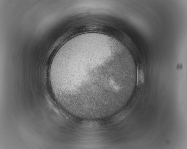 X0000110760435200907061059