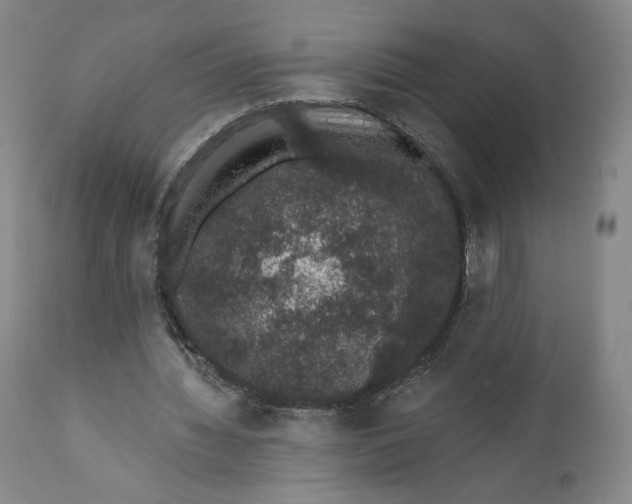 X0000110760436200907061059