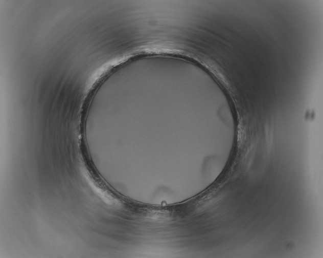 X0000110760438200907061059