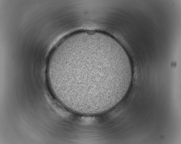 X0000110760440200907061059