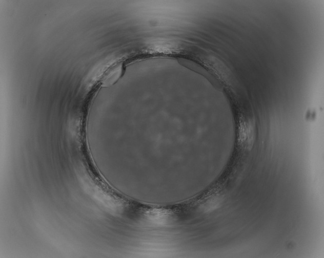 X0000110760444200907061059