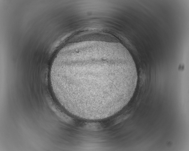 X0000110760446200907061059