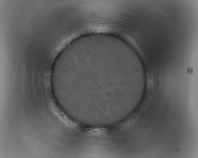 X0000110760447200907061059