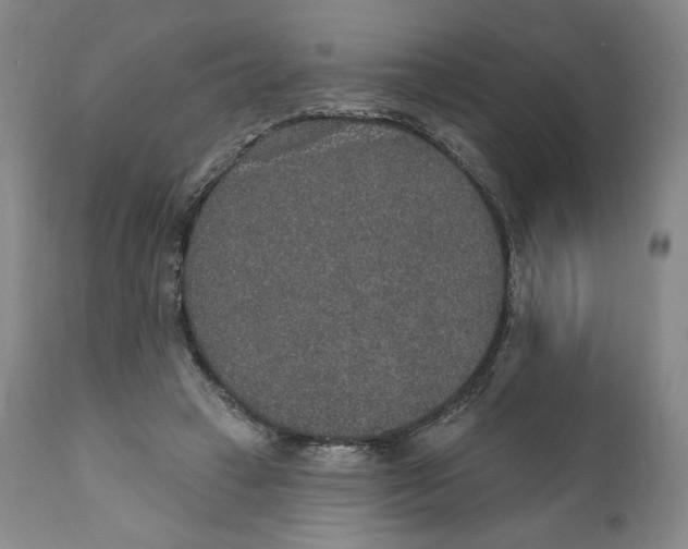X0000110760449200907061059