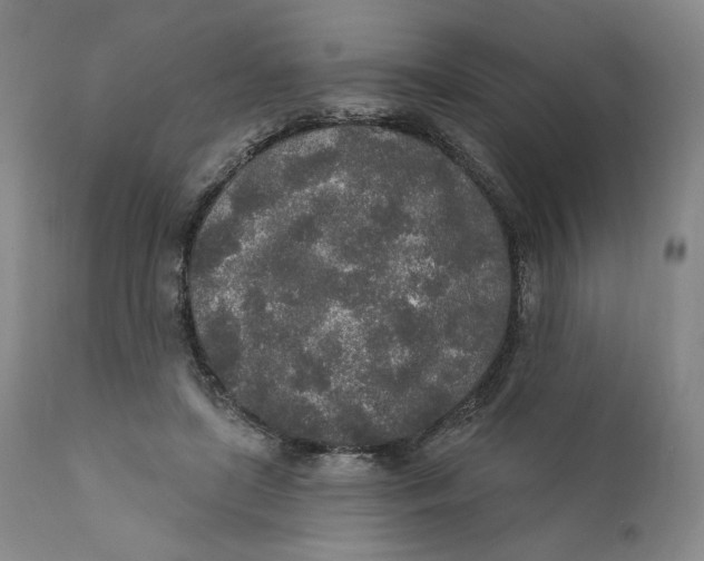 X0000110760451200907061059