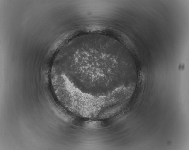 X0000110760452200907061059