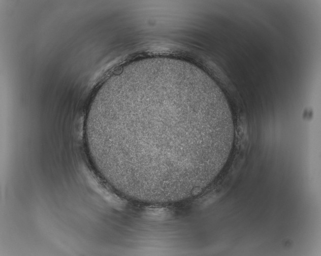 X0000110760454200907061059