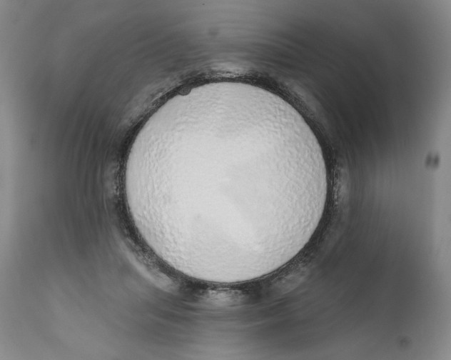 X0000110760455200907061059