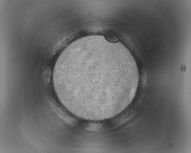 X0000110760458200907061059
