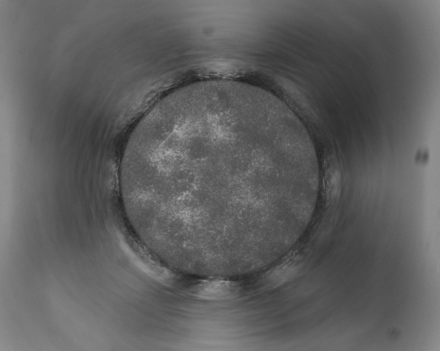 X0000110760459200907061059