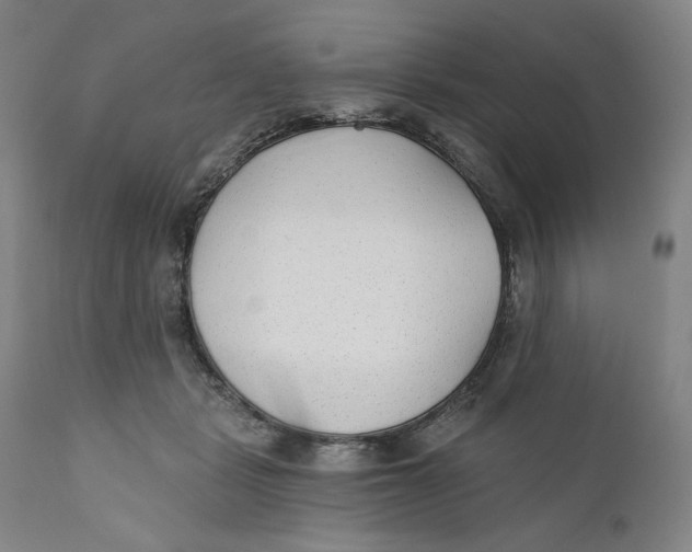 X0000110760461200907061059
