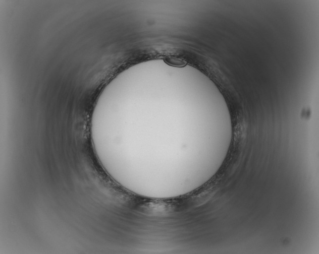 X0000110760464200907061059