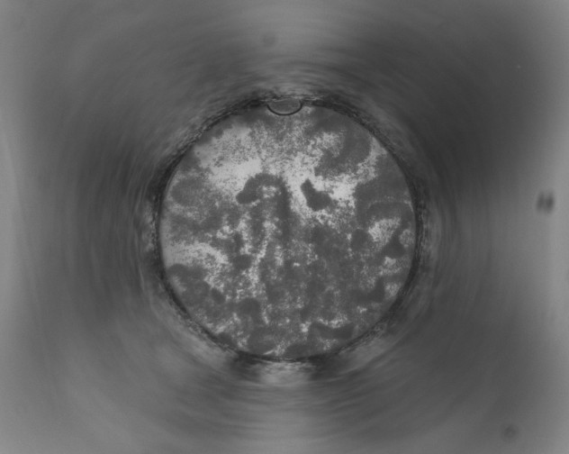 X0000110760465200907061059