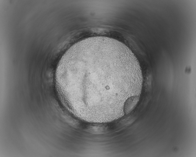 X0000110760466200907061059