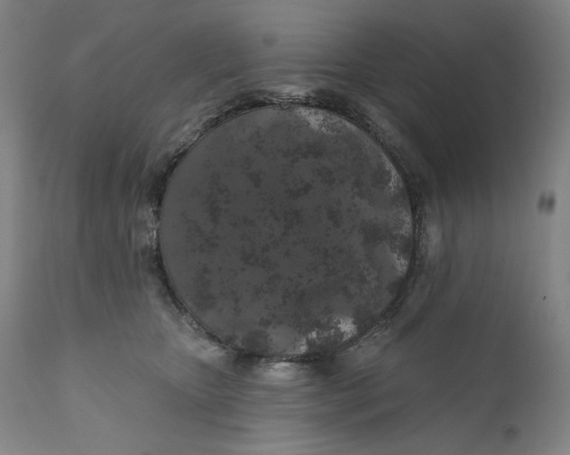 X0000110760467200907061059