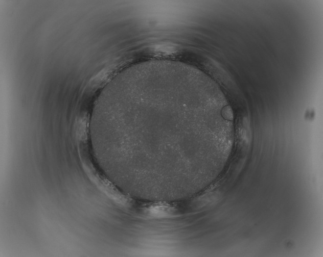 X0000110760468200907061059