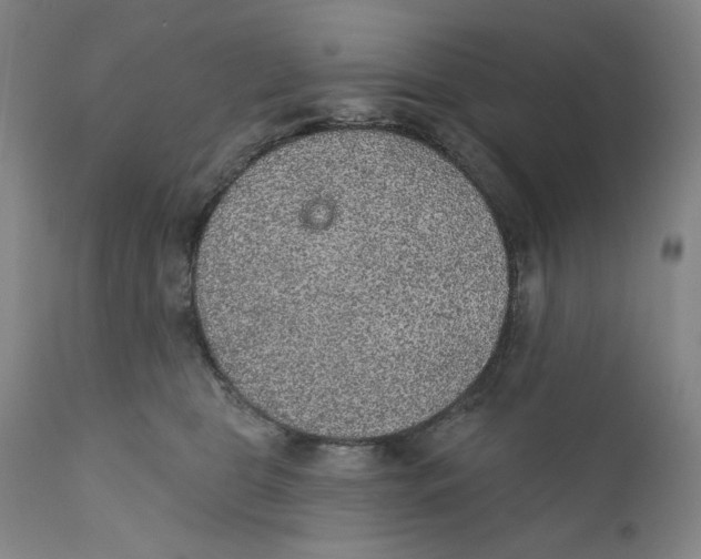 X0000110760469200907061059