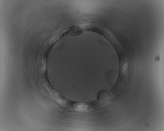 X0000110760471200907061059