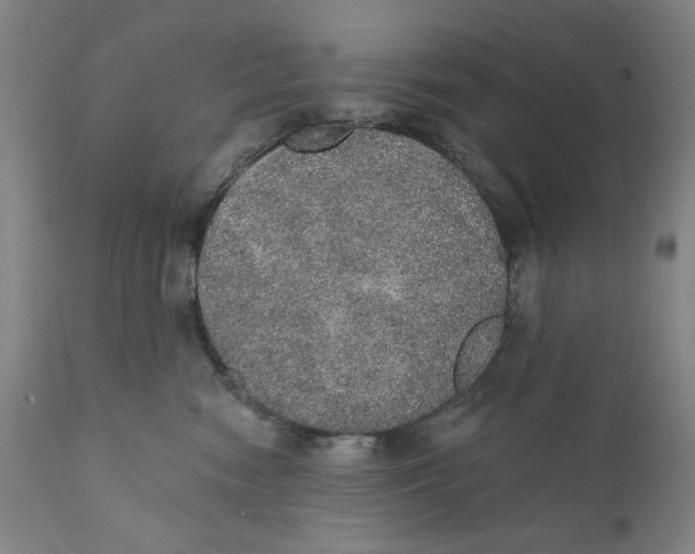X0000110760474200907061059