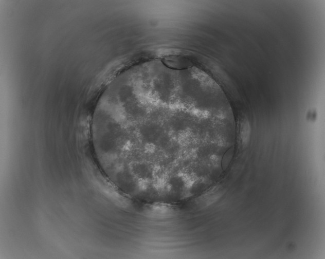 X0000110760475200907061059
